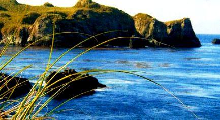 The Tristan da Cunha archihelago - Wonderful coast