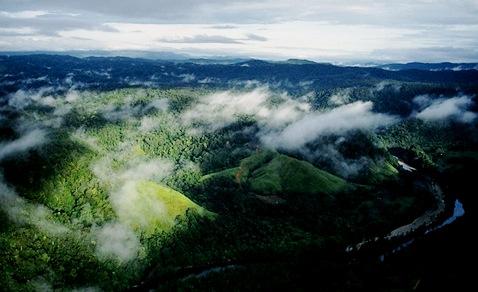 Motua, China - Accurate nature