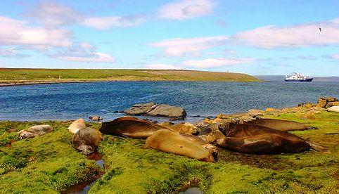 The Kerguelen Islands archipelago - Rich marine life