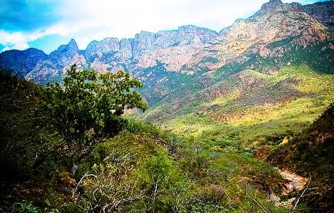 Socotra Islands archipelago - Amazing landcsape