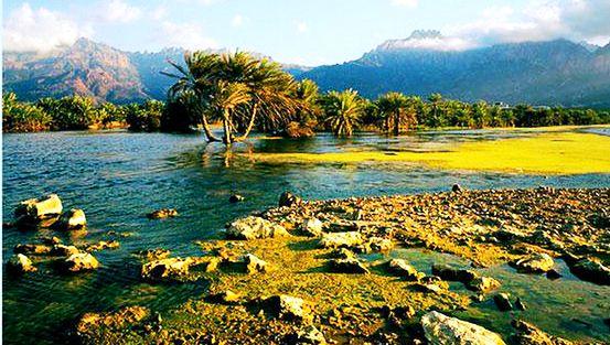 Socotra Islands archipelago - Exclusive site
