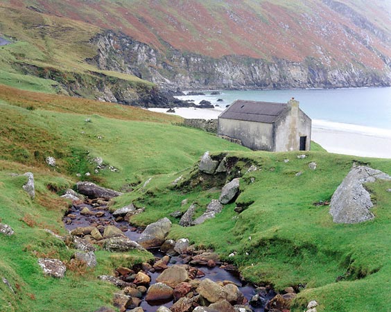 Ireland - Greenish landscape