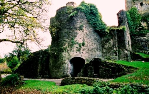 Cork - The Blarney Castle