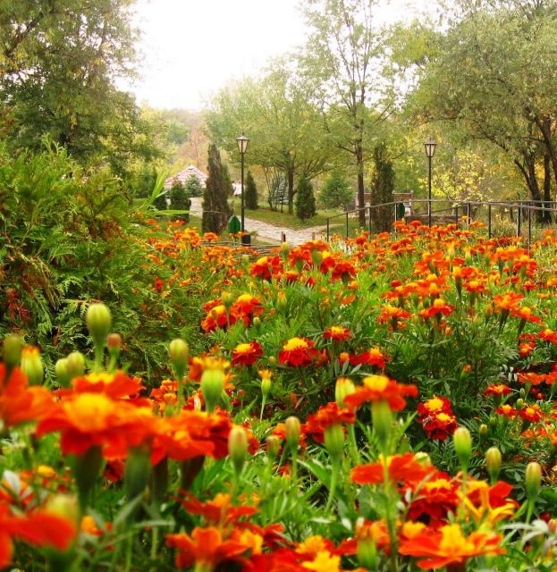  - The Botanical Garden - Beautiful landscape