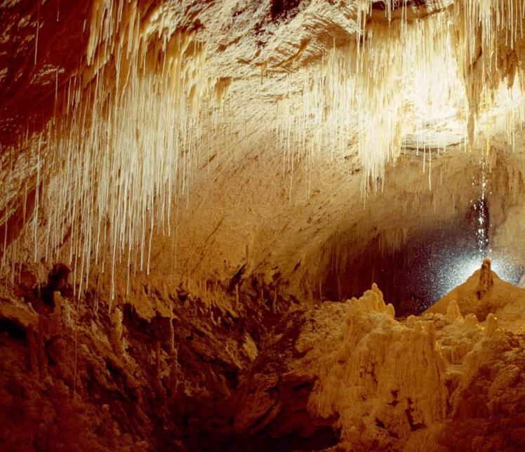 Waitomo Caves - beautiful view