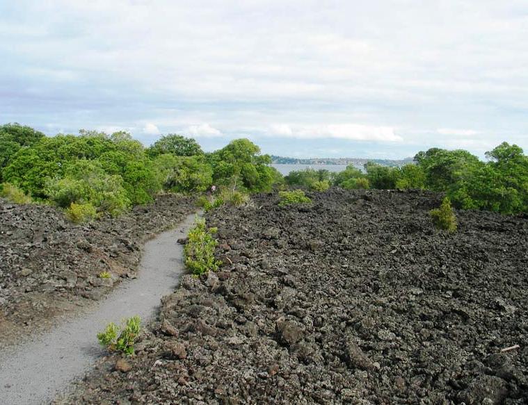 Rangitoto Island - Lava field with path and encroaching vegetation  