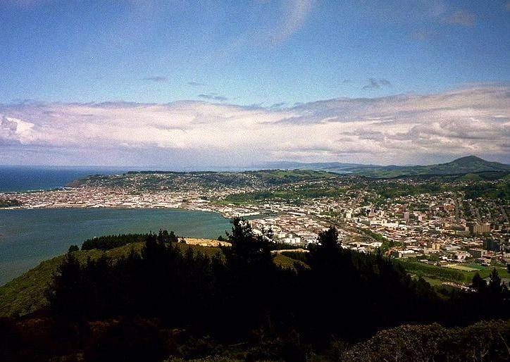 Dunedin - Overall view