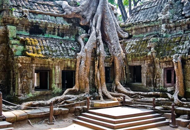 Angkor Wat in Cambodia - Ta Prohm Temple