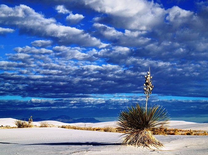 White Sands National Monument - Amazing place