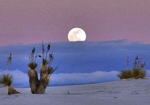 White Sands National Monument - Night view