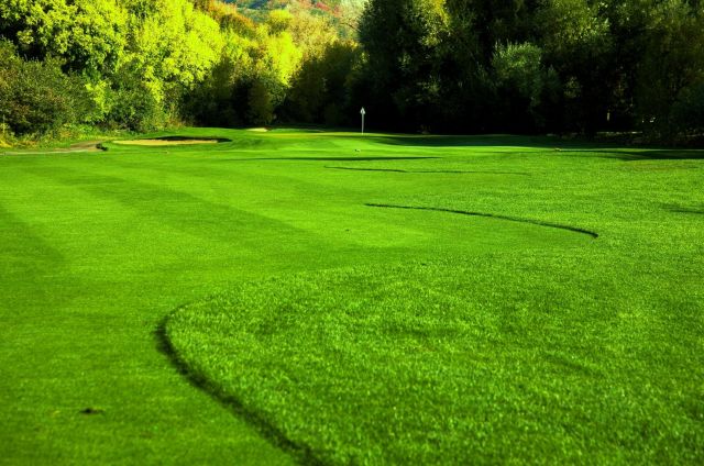 The Wasatch Mountain State Park  - Golf Courses 