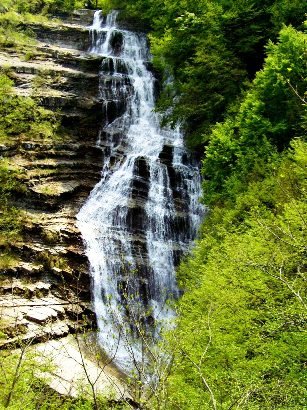 Foreste Casentinesi, Mount Falterona and Campigna National Park - Acquacheta waterfall
