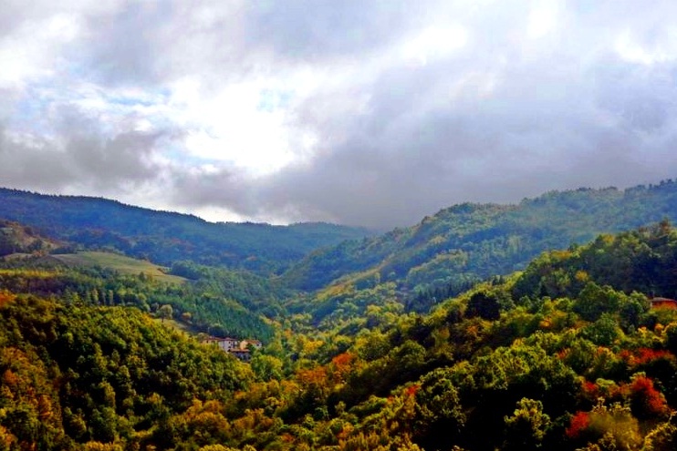 Foreste Casentinesi, Mount Falterona and Campigna National Park - Apennines
