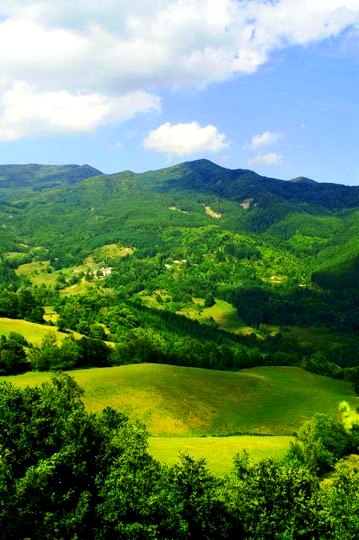 Foreste Casentinesi, Mount Falterona and Campigna National Park - Park view