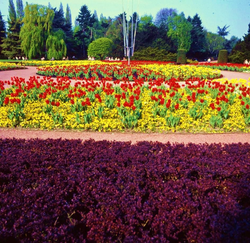 The North Park - Flower beds 