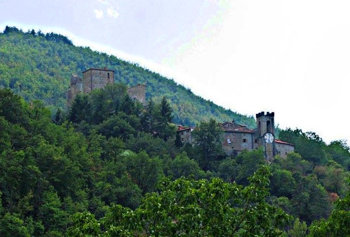 Castel San Niccolo - Overview