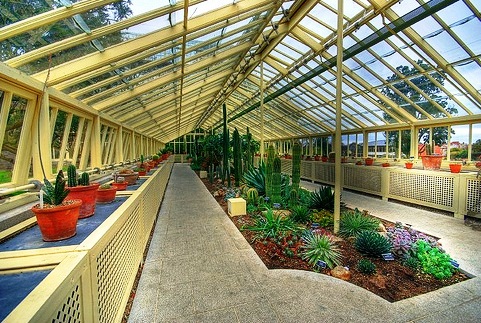 National Botanic Gardens - glasshouse