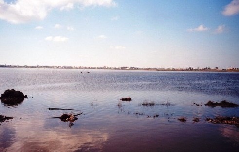 Paralimni - Lake view
