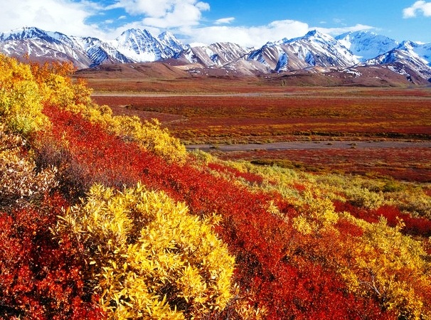 Denali National Park - Alaska Range