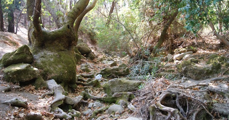 The Butterfly Valley -  Camping in the shallows 