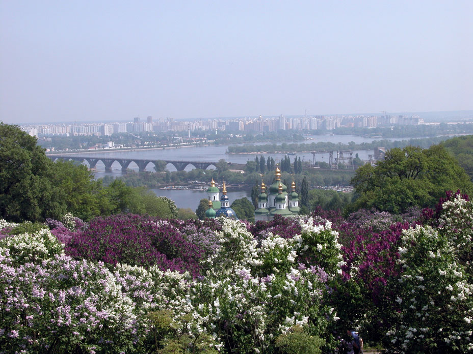 Kiev - Blooming city