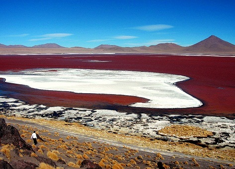 Laguna Colorada - Excellent destination