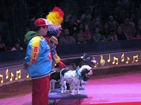  Big Apple Circus – the most generous in the world - Enchanting atmosphere