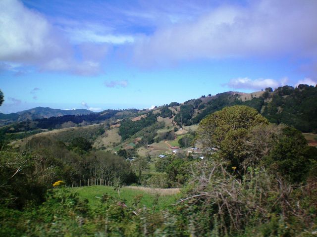 The Pan-American Highway  - Amazing nature