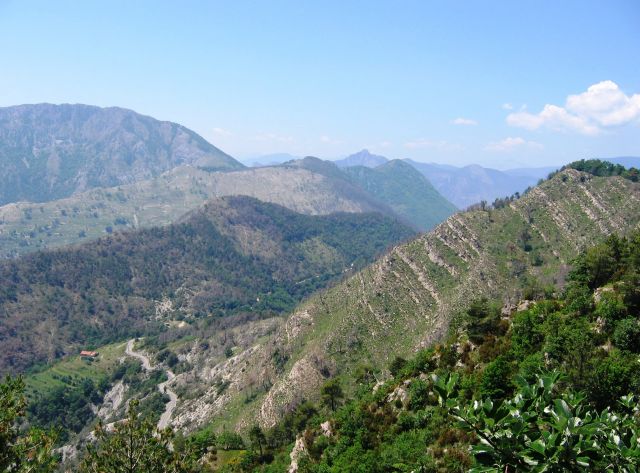 Col de Turini - Fantastic nature