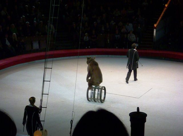The Great Moscow Circus- the best attraction in the world - A bear