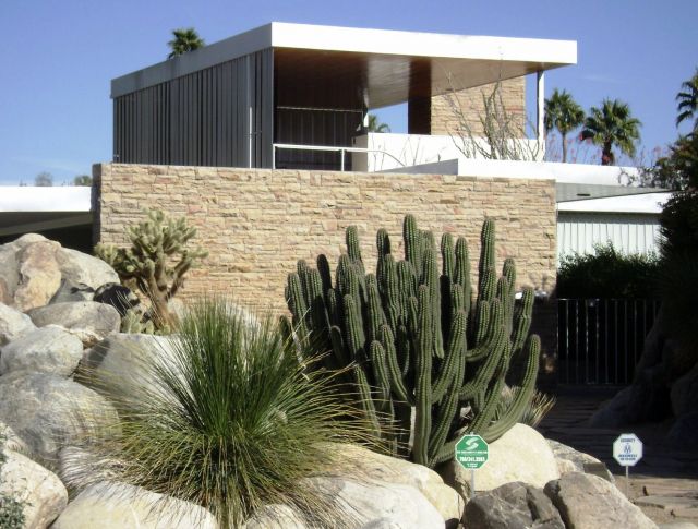 The Kaufmann Desert House - Rocks and cactuses