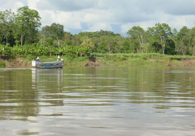 The Amazon River - The Amazon basin