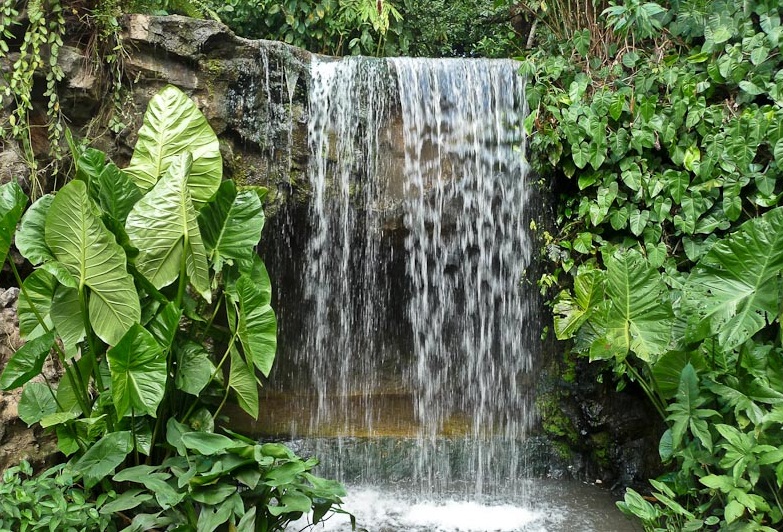 Singapore Botanical Gardens - Fantastic waterfall