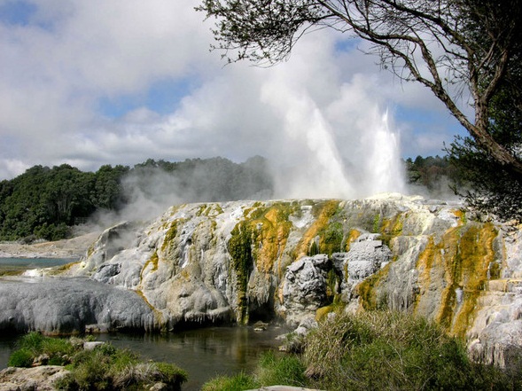 The Pohutu Geyser, Rotorua, New Zealand - Wonder of nature