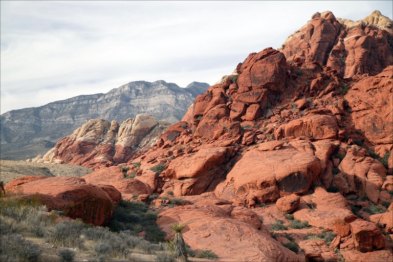 Red Rock Canyon in Nevada, USA - Scenic landscape