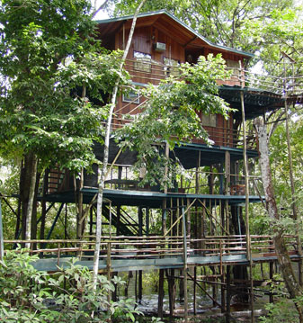 Ariau Amazon Towers Hotel, Brazil - Comfortable hotel in the Jungle