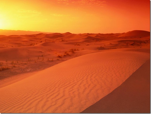 african desert sunset