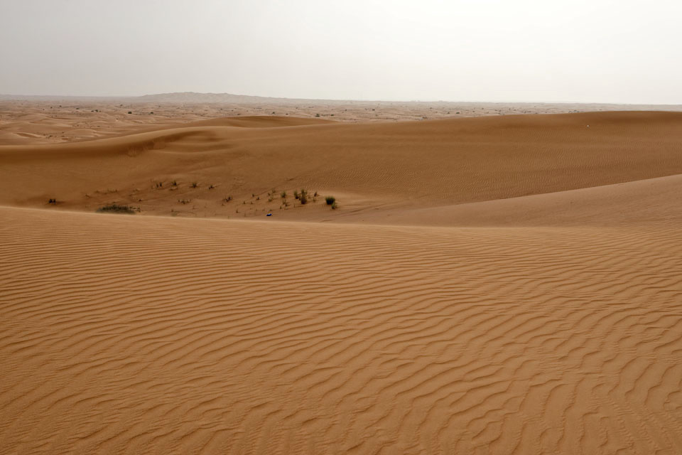 The Arabian Desert  - Appealing place for an adventure