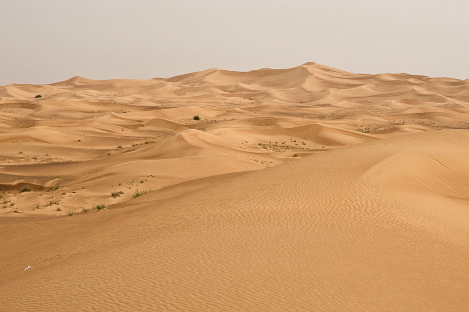 The Arabian Desert  - Great desert region