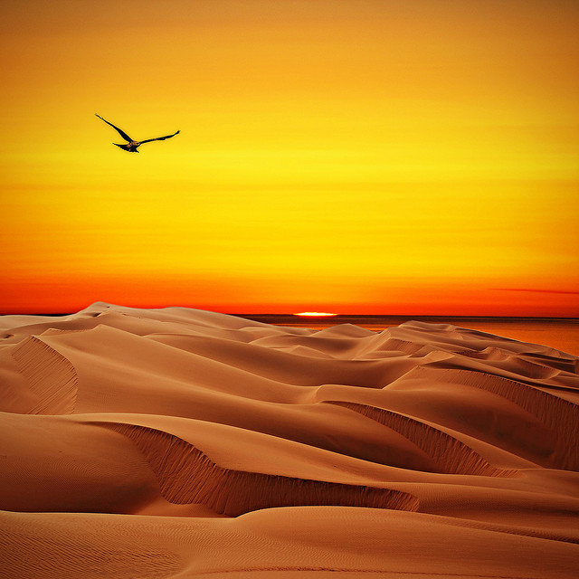 Images The Rub Al Khali Desert Beautiful landscape 14743