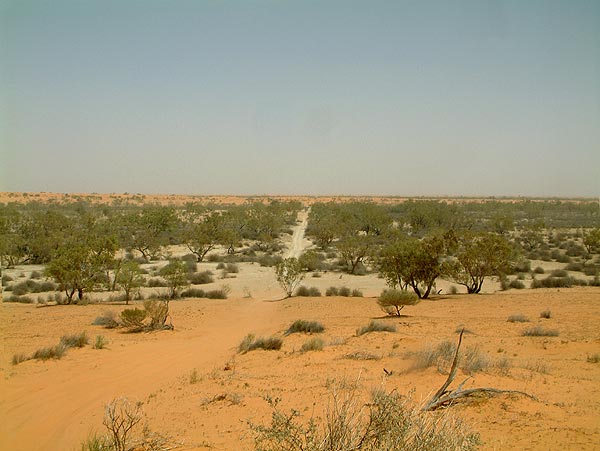 The Kalahari Desert, Africa - Vast expanse of sand