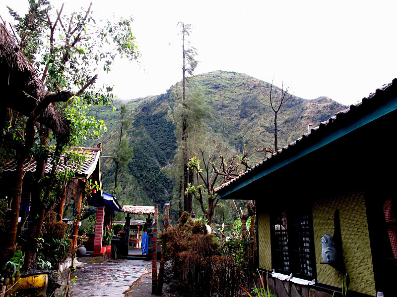 Bromo - Majestic view