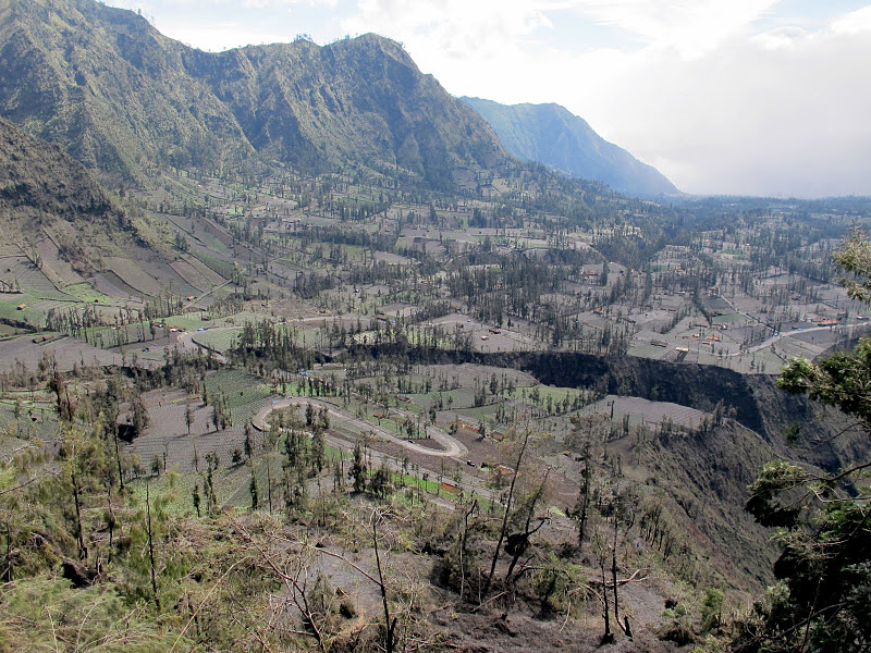 Bromo - Volcanic landscape