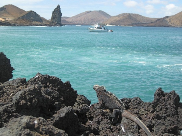 The Galapagos Islands - Marvelous place