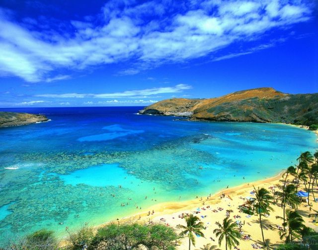 The Hawaii Island - Light tropical beach