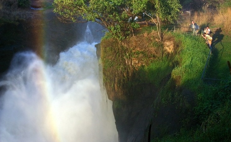  Bwindi Impenetrable National Park, Uganda - Amazing view