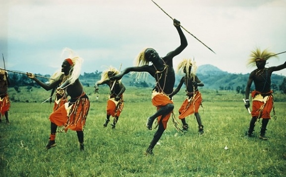  Bwindi Impenetrable National Park, Uganda - Unforgettable educational tour and adventure.