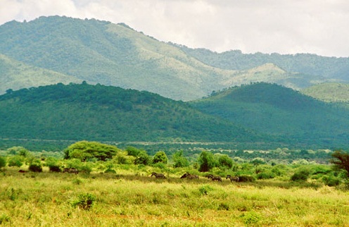 Ngorongoro  Conservation Area, Tanzania - Landscape