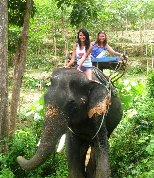 Elephant trekking - The symbol of Thailand