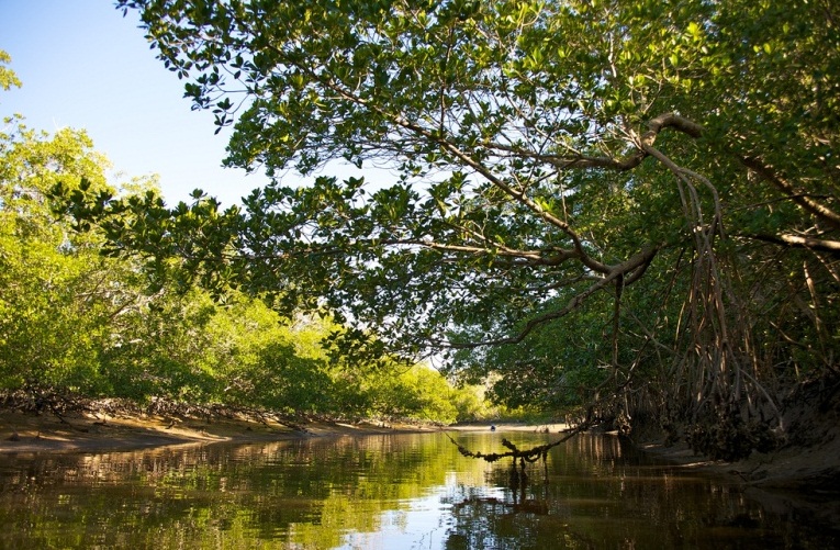 Everglades National Park  - Beautiful landscape